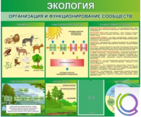 Стенд "Экология. Организация и функционирование сообществ" - «globural.ru» - Воткинск