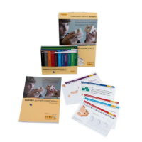 Методическое пособие Cuboro – думай креативно - «globural.ru» - Воткинск