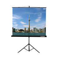 Проекционный экран на штативе Lumien Eco View (LEV-100105) 160x160 см - «globural.ru» - Воткинск