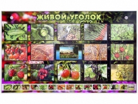 Комплект оборудования "Живой уголок" (растения) с тифлопереводом и сурдокомментариями - «globural.ru» - Воткинск