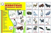 Демонстрационные карточки "Животные холодных широт" - «globural.ru» - Воткинск