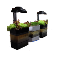 Учебная установка "Аквапоника"  - «globural.ru» - Воткинск