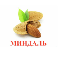 Карточки Домана "Орехи-Ягоды-2" - «globural.ru» - Воткинск