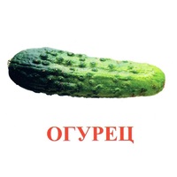 Карточки Домана "Овощи-Зелень-1" - «globural.ru» - Воткинск