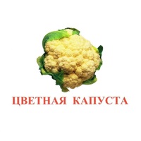 Карточки Домана "Овощи-Зелень-2" - «globural.ru» - Воткинск