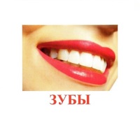 Карточки Домана "Части тела" - «globural.ru» - Воткинск