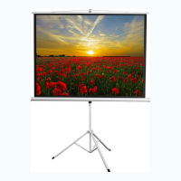 Экран на штативе DSKD-4303 - «globural.ru» - Воткинск