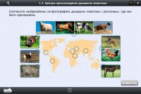 Интерактивные курсы. Биология 7 класс. Расширенный - «globural.ru» - Воткинск