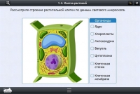 Интерактивные курсы. Биология 9 класс. Расширенный - «globural.ru» - Воткинск