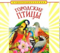 CD "Аудиоэнциклопедия. Городские птицы" - «globural.ru» - Воткинск