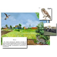 Магнитный плакат-аппликация "Поле: биоразнообразие и взаимосвязи в сообществе" - «globural.ru» - Воткинск