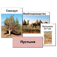 Модель-аппликация "Природные зоны России" - «globural.ru» - Воткинск