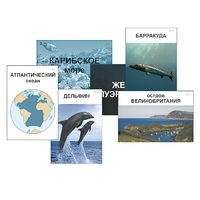 Модель-аппликация "Океаны. Знакомство" (ламинированная) - «globural.ru» - Воткинск