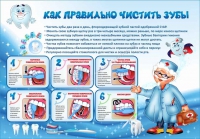 Стенд "Как правильно чистить зубы" - «globural.ru» - Воткинск