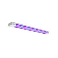Фитолампа - «globural.ru» - Воткинск