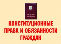 Комплект плакатов "Конституционные права и обязанности граждан" - «globural.ru» - Воткинск