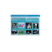 Стенд-планшет светодинамический «Изучение асептических и гнойных воспалительных процессов» - «globural.ru» - Воткинск