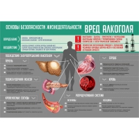 Стенд "Алкоголь" - «globural.ru» - Воткинск