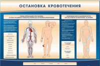 Электрифицированный стенд-тренажер "Остановка кровотечения" - «globural.ru» - Воткинск