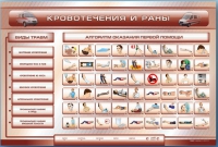 Трехсекционный базовый комплект "Травмы. Кровотечения. Ожоги" для учащихся общеобразовательных учреждений - «globural.ru» - Воткинск