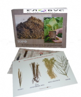 Коллекция "Торф и продукты его переработки" (вариант 1) - «globural.ru» - Воткинск