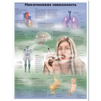 Плакат "Никотиновая зависимость", ламинированный, 50*67 см - «globural.ru» - Воткинск