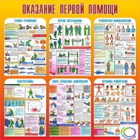 Стенд "Оказание первой помощи" - «globural.ru» - Воткинск