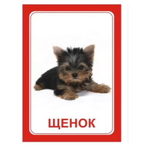 Логопедка "Щ, Х" (логопедические карточки) - «globural.ru» - Воткинск
