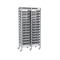 Стеллаж мобильный 2-х секционный для учебных наборов и цифровых лабораторных комплексов SenseDisc - «globural.ru» - Воткинск