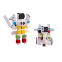 Набор для изучения углубленного программирования с искусственным интеллектом "Алеша" - «globural.ru» - Воткинск