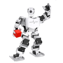 Базовый робототехнический набор  "Техник" для изучения систем управления робототехническими комплексами и андроидными роботами "Сережа ИН Про". Полный комплект на Raspbery Pi - «globural.ru» - Воткинск