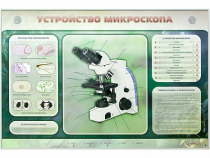 Электрифицированный стенд "Устройство микроскопа и правила работы c ним" - «globural.ru» - Воткинск