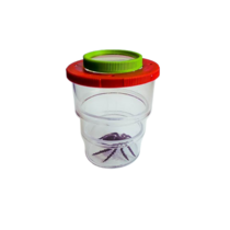 Коробка для изучения насекомых с лупой (вариант 2) - «globural.ru» - Воткинск