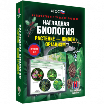 Наглядная биология. Растение - живой организм - «globural.ru» - Воткинск