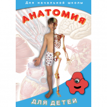 DVD  Анатомия для детей - «globural.ru» - Воткинск