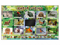 Комплект оборудования "Живой уголок" (животные) - «globural.ru» - Воткинск