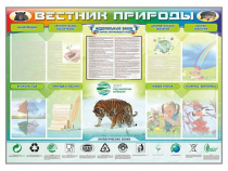 Стенд-уголок "Вестник природы" (вариант 1) - «globural.ru» - Воткинск