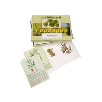 Гербарий "Для начальной школы" (30 видов, с иллюстрациями) - «globural.ru» - Воткинск