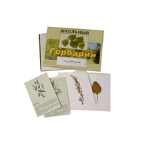 Гербарий "Лекарственные растения" (22 вида, с иллюстрациями) - «globural.ru» - Воткинск