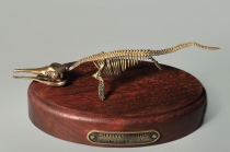 Модель скелета ихтиозавра Ichthyosaurus - «globural.ru» - Воткинск