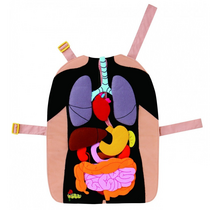 Фланелеграф-фартук "Анатомия" - «globural.ru» - Воткинск