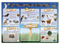 Стенд-уголок "Друзья наши меньшие" - «globural.ru» - Воткинск