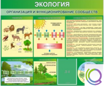 Стенд "Экология. Организация и функционирование сообществ" - «globural.ru» - Воткинск