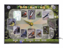 Электрифицированный стенд-часы "Голоса птиц" с комплектом дидактического материала - «globural.ru» - Воткинск