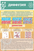 Стенд "Диффузия" - «globural.ru» - Воткинск