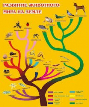 Стенд "Развитие животного мира на земле" - «globural.ru» - Воткинск