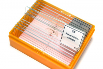 Набор микропрепаратов N10 - «globural.ru» - Воткинск