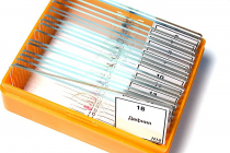 Набор микропрепаратов N18 - «globural.ru» - Воткинск