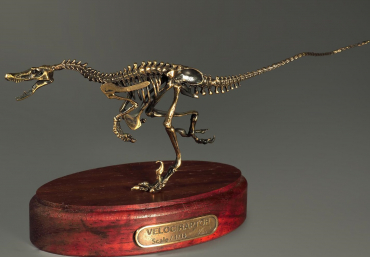 Модель скелета динозавра Velociraptor - «globural.ru» - Воткинск