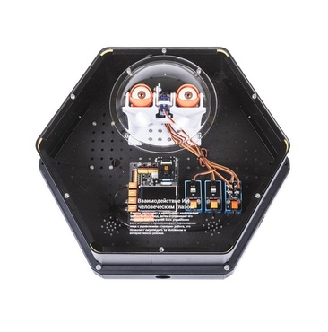 Модуль интерактивный с искусственным интеллектом "Наблюдатель" - «globural.ru» - Воткинск